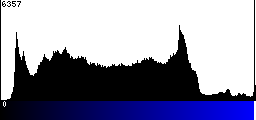 Blue Histogram