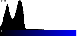 Blue Histogram