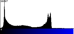 Blue Histogram