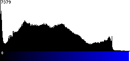 Blue Histogram