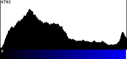 Blue Histogram