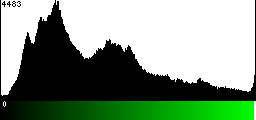 Green Histogram