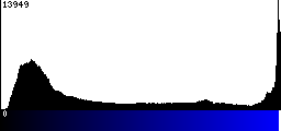 Blue Histogram