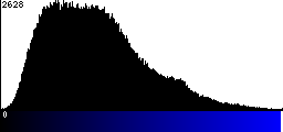 Blue Histogram