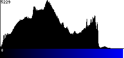 Blue Histogram