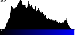 Blue Histogram