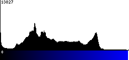 Blue Histogram