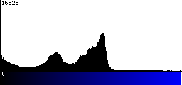 Blue Histogram