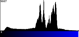 Blue Histogram