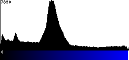 Blue Histogram