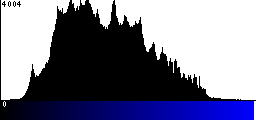 Blue Histogram