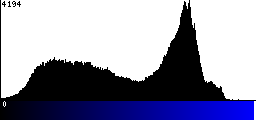 Blue Histogram