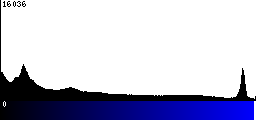 Blue Histogram