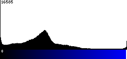 Blue Histogram