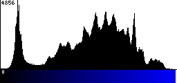 Blue Histogram
