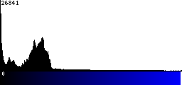 Blue Histogram