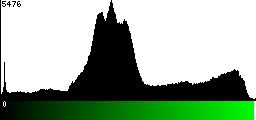 Green Histogram