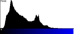Blue Histogram
