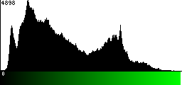 Green Histogram