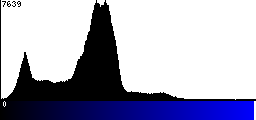 Blue Histogram