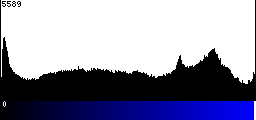 Blue Histogram