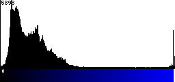Blue Histogram