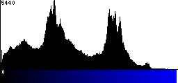 Blue Histogram