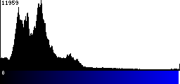 Blue Histogram