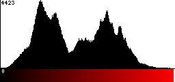 Red Histogram