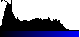 Blue Histogram