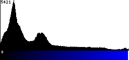 Blue Histogram