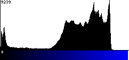 Blue Histogram