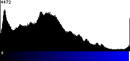 Blue Histogram