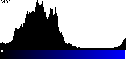 Blue Histogram