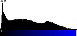 Blue Histogram