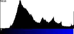 Blue Histogram