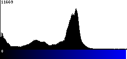 Blue Histogram