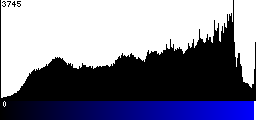 Blue Histogram
