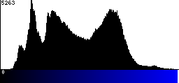 Blue Histogram