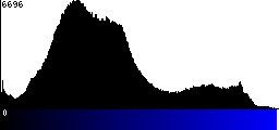 Blue Histogram