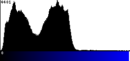 Blue Histogram