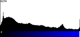 Blue Histogram