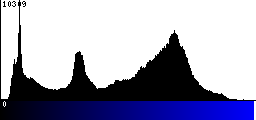 Blue Histogram