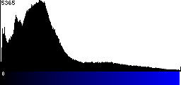 Blue Histogram