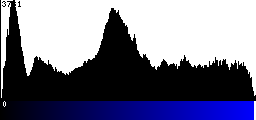 Blue Histogram