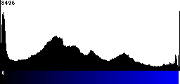Blue Histogram