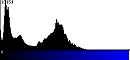 Blue Histogram