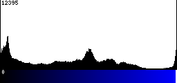 Blue Histogram
