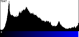 Blue Histogram