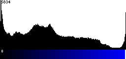 Blue Histogram